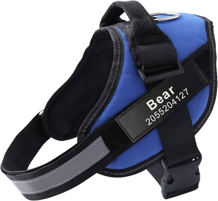 EasyHarness®