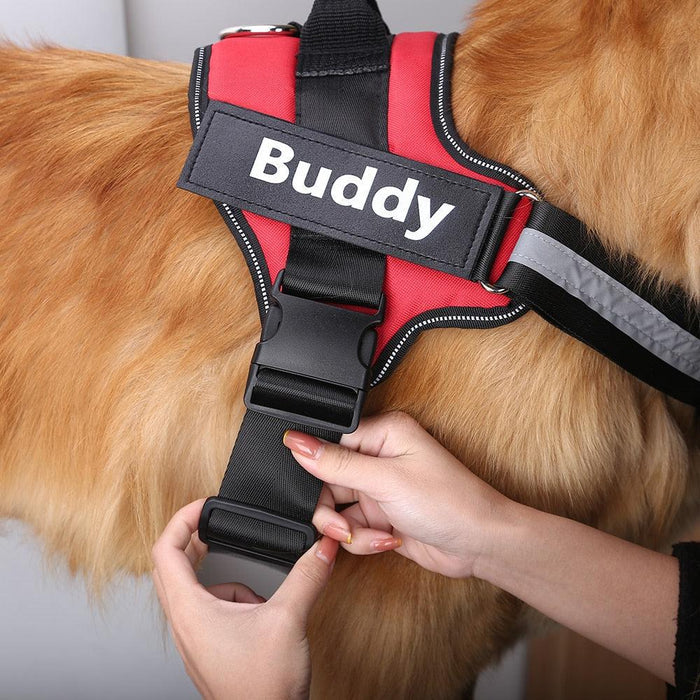 EasyHarness®