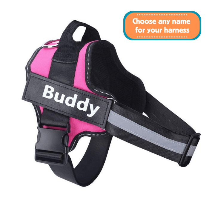 EasyHarness®