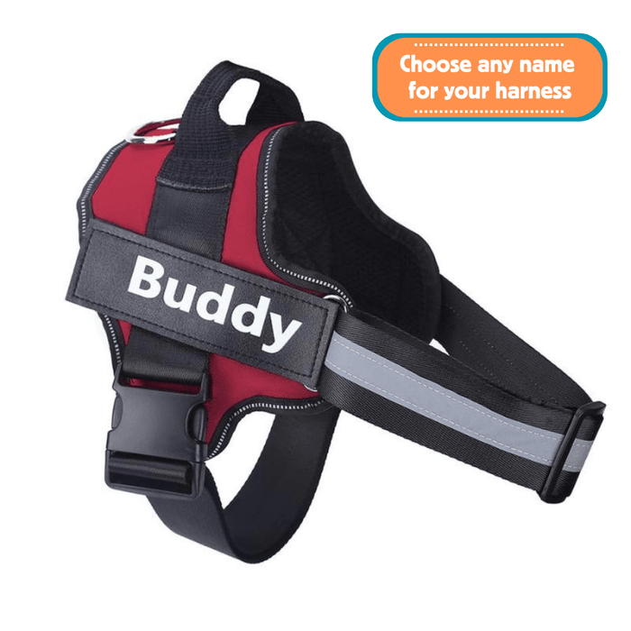 EasyHarness®