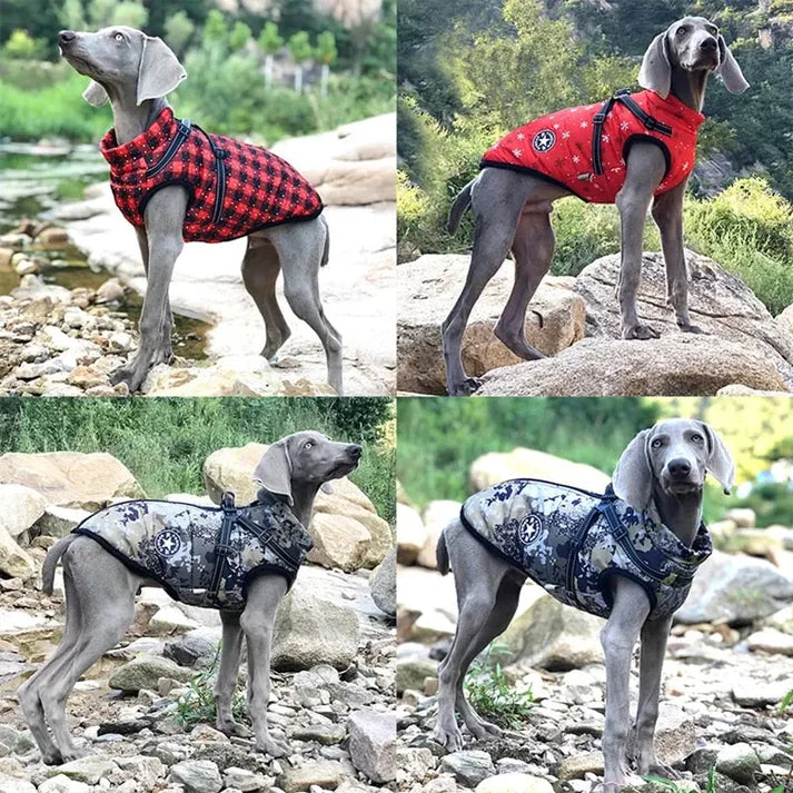 CozyTail® - Veste imperméable pour chien