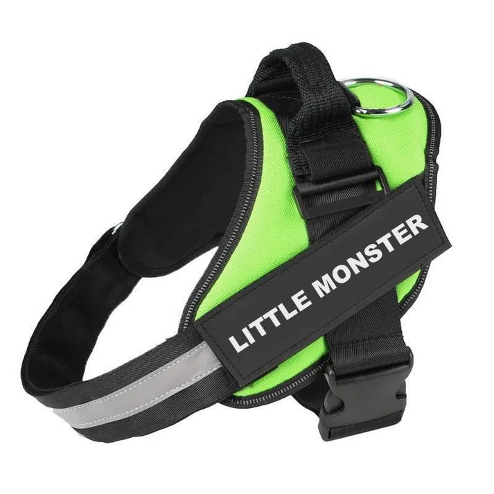 EasyHarness®