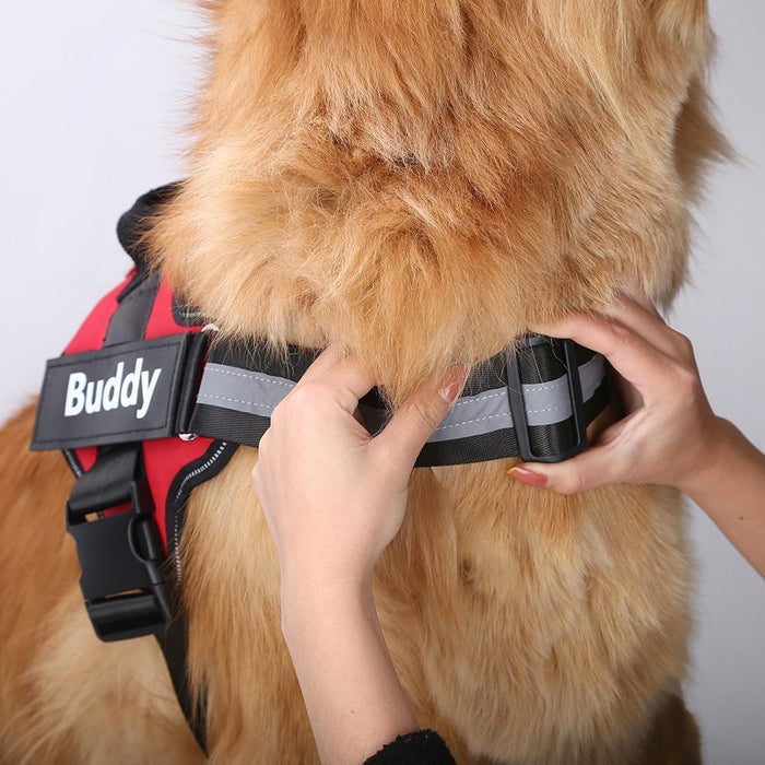 EasyHarness®