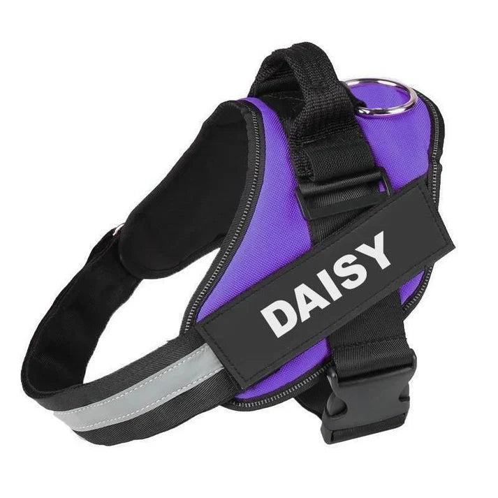 EasyHarness®
