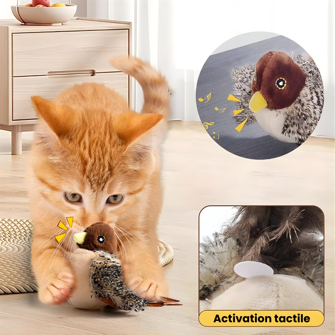 Oiseauly® - Oiseau Gazouillant Simulé pour Chat