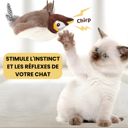 Oiseauly® - Oiseau Gazouillant Simulé pour Chat